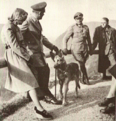 Фото Любимой Немецкой Овчарки Гитлера